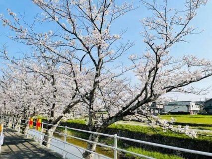 この春、音楽を始めよう！入会金・初期費用0円キャンペーン中！